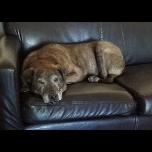 Meet your Posher, Suzanne